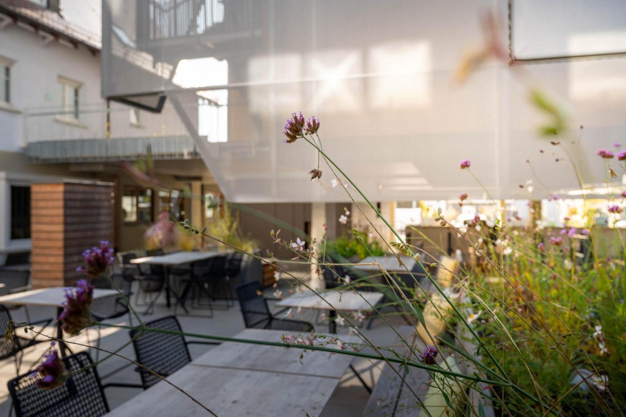 Hotel Maier FDH Exterior foto